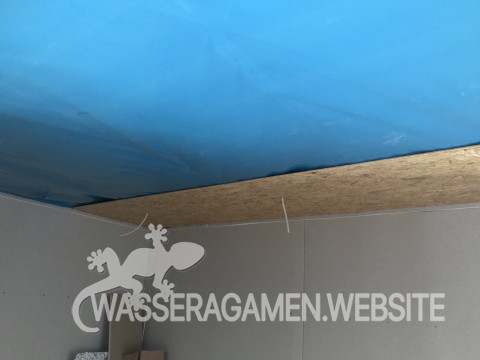 OSB3 12mm Decke + Dampfsperre