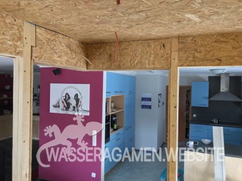 Innenverkleidung mit OSB 12mm