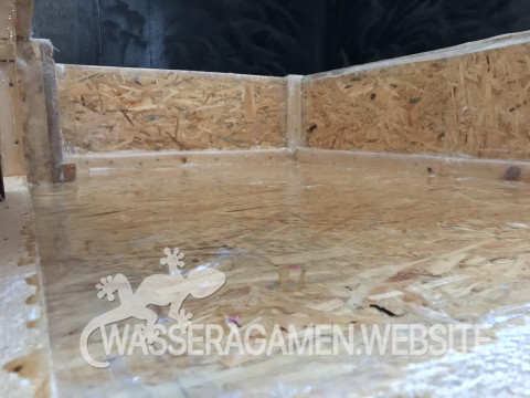 Wasserarmen Terrarium