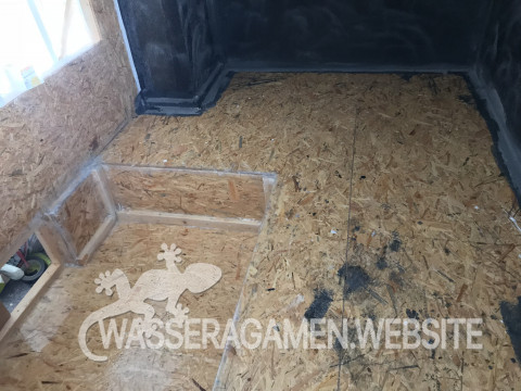 Wasserarmen Terrarium