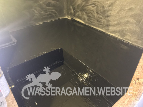 Wasserarmen Terrarium