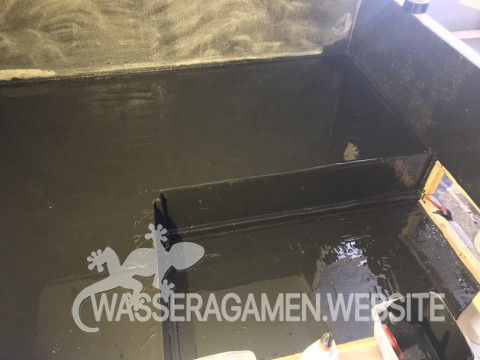 Wasserarmen Terrarium