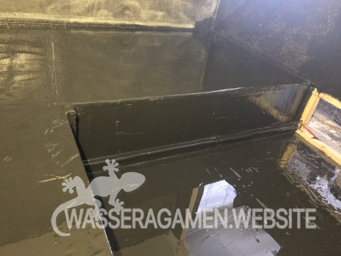 Wasserarmen Terrarium
