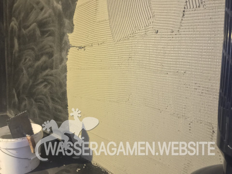 Wasserarmen Terrarium