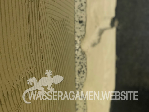 Wasserarmen Terrarium