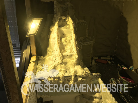 Wasserarmen Terrarium
