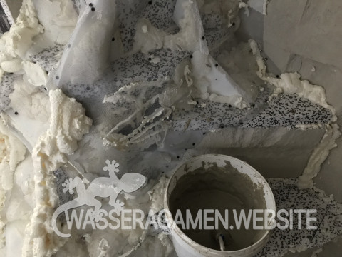 Wasserarmen Terrarium