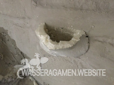 Wasserarmen Terrarium