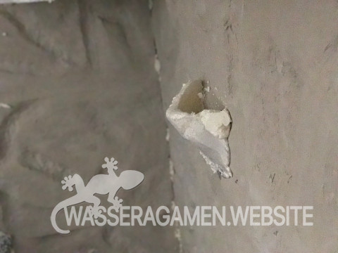 Wasserarmen Terrarium