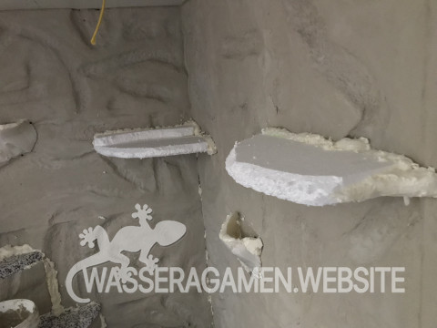 Wasserarmen Terrarium