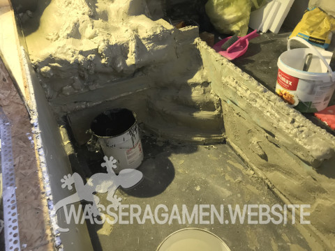 Wasserarmen Terrarium