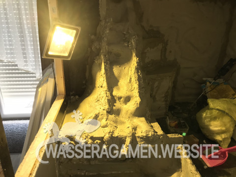 Wasserarmen Terrarium