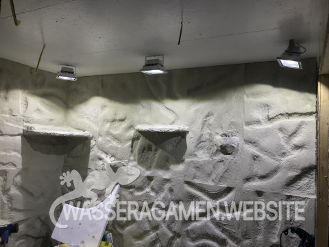 Wasserarmen Terrarium