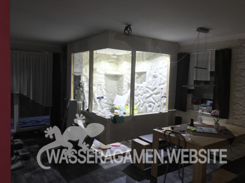 Wasserarmen Terrarium