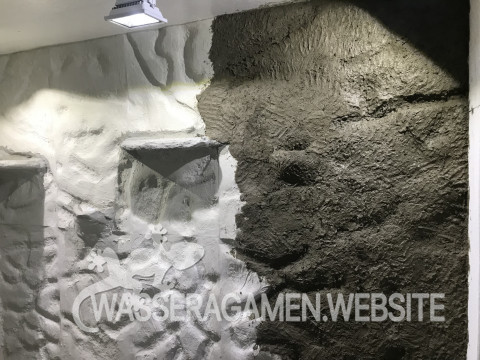 Wasserarmen Terrarium