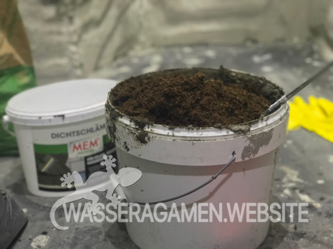 Wasserarmen Terrarium
