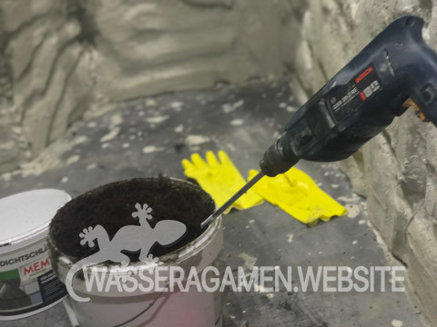 Wasserarmen Terrarium