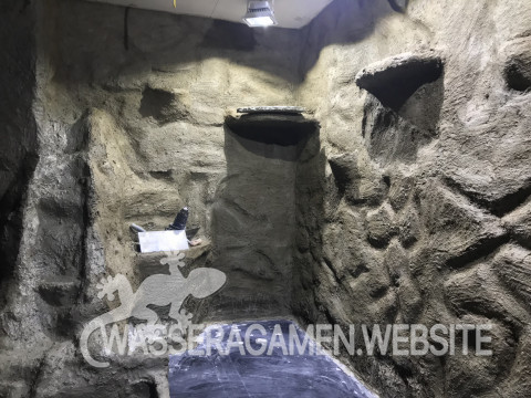 Wasserarmen Terrarium