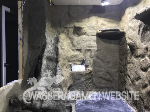 Wasserarmen Terrarium