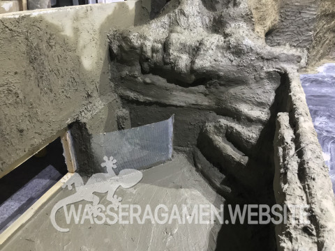 Wasserarmen Terrarium