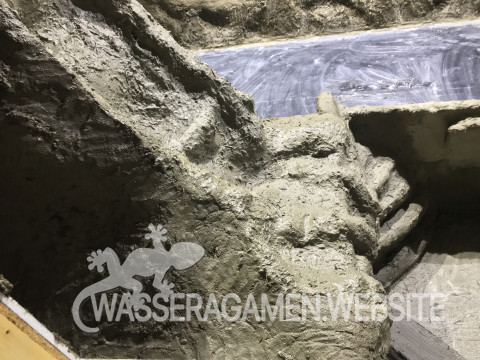 Wasserarmen Terrarium