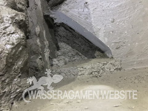 Wasserarmen Terrarium
