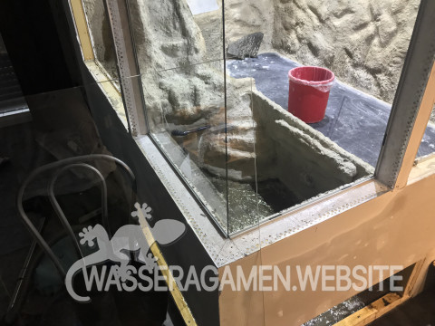 Wasserarmen Terrarium
