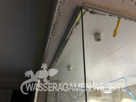 Wasserarmen Terrarium