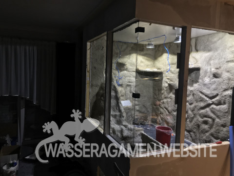 Wasserarmen Terrarium