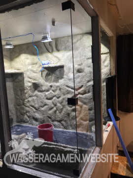 Wasserarmen Terrarium