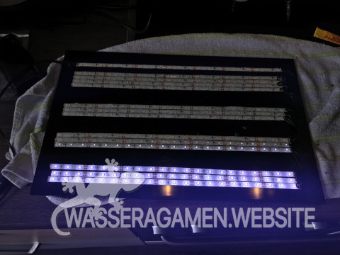 5m LED Strip test