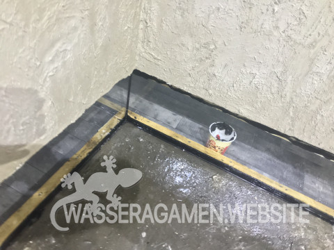 Wasserarmen Terrarium