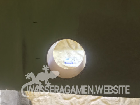 Wasserarmen Terrarium