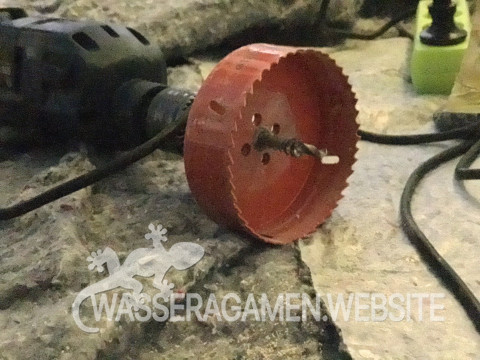 Wasserarmen Terrarium