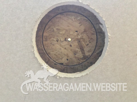 Wasserarmen Terrarium