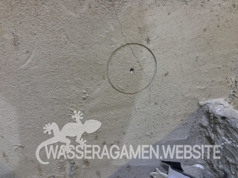 Wasserarmen Terrarium