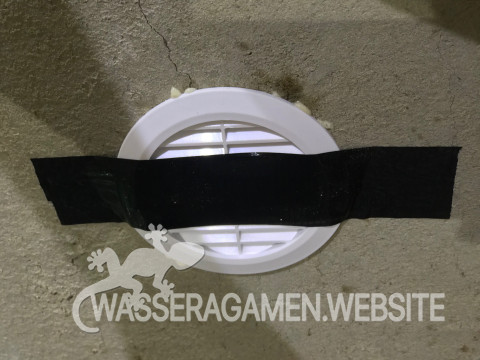 Wasserarmen Terrarium