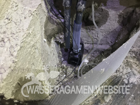 Wasserarmen Terrarium