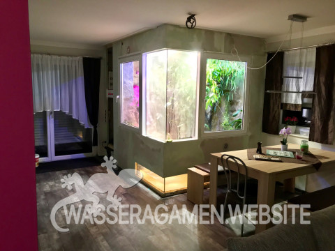 Wasserarmen Terrarium