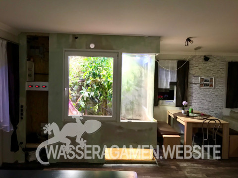Wasserarmen Terrarium