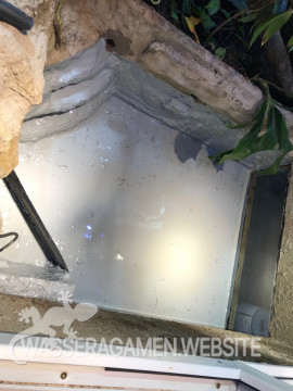 Wasserarmen Terrarium
