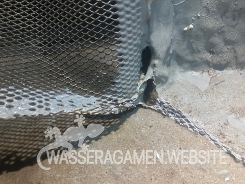 Wasserarmen Terrarium