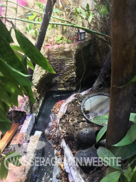 Wasserarmen Terrarium