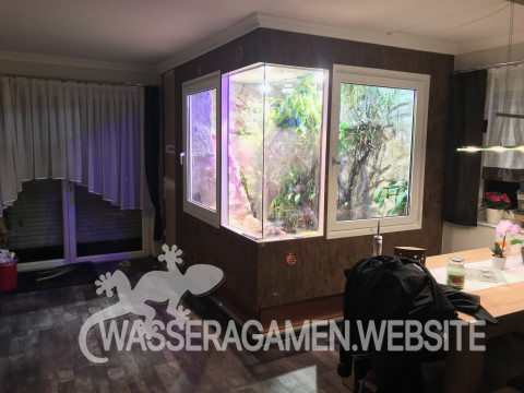 Wasserarmen Terrarium