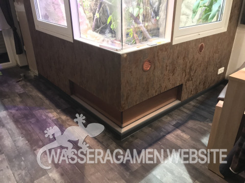 Wasserarmen Terrarium