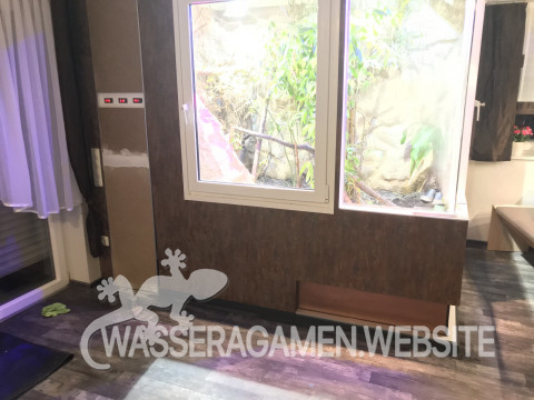 Wasserarmen Terrarium