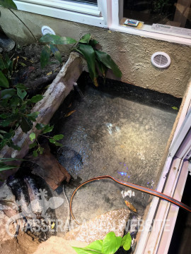 Wasserarmen Terrarium