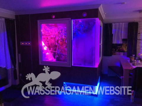 Wasserarmen Terrarium