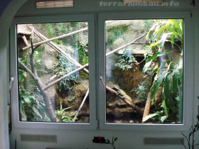 Wasseragamen Terrarium 2009