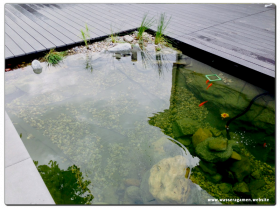 Koi Teich 700x300x125cm